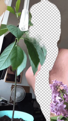 Fashion Face GIF by Aleksey Efremov