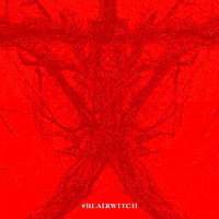 blair witch horror GIF by Lionsgate