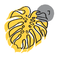 jitteam leaf hawaii monstera jitteam Sticker
