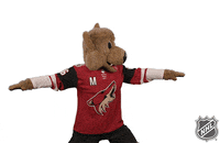 Ice Hockey GIF by NHL