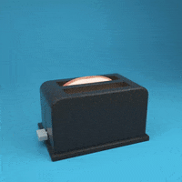renrenhello meme surprise toast GIF