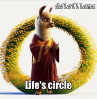 Flower Life GIF by dalaillamazen