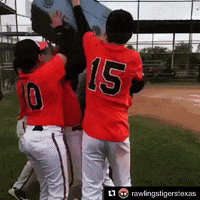 rawlingstigers baseball win mlb winner GIF
