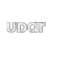 UDARkickboxing fitness boxing kickboxing muaythai Sticker