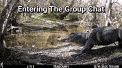 Fight Winning GIF by U.S. Fish and Wildlife Service