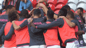 ligue 1 soccer GIF by Toulouse Football Club