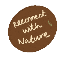 Leaf Sticker by The Hiatus Label