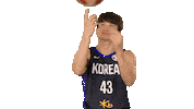 Game Basketball Sticker by FIBA