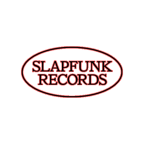 House Music Dj Sticker by Slapfunk records
