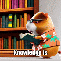 GIF by Guinea Gambino