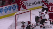 happy ice hockey GIF by NHL