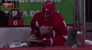nhl sports text hockey nhl GIF