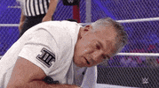 shane mcmahon wrestling GIF by WWE