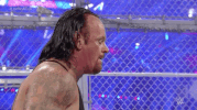 wrestlemania 32 wrestling GIF by WWE