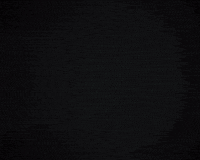 Xhsty GIF