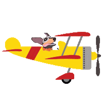 Rocky Sticker by Sam & Ash, LLP