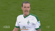 kruse GIF by SV Werder Bremen