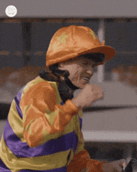 Sha Tin Yes GIF by World Horse Racing