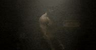 Show No Mercy Savage GIF