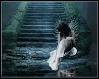 angels GIF