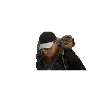 Tora National Cat Day Sticker by Gray Hat Films
