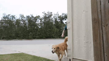 Karate Jumping GIF by Johnny Slicks