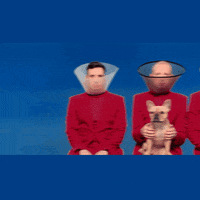 Dance Love GIF by [PIAS] UK