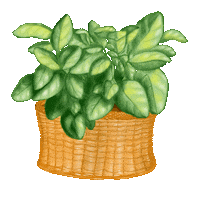 Plants Lc Sticker by Leaves and Clouds