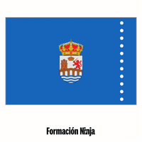 Flag Pixel Art GIF by Formación Ninja