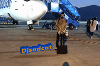 djsadcat travel airport dj sadcat djsadcat GIF
