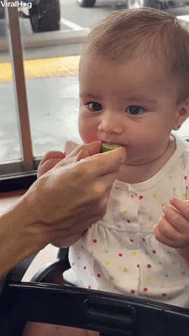 Baby Learns About Limes GIF by ViralHog