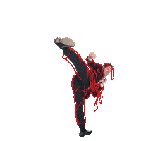 Karate Sticker by Exact Software