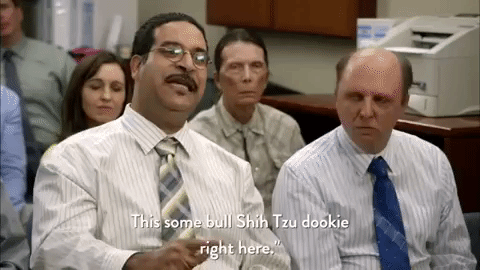 season 5 episode 11 GIF by Workaholics