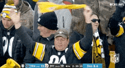 Pittsburgh Steelers Football GIF by NFL