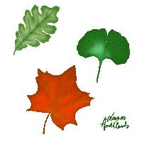 Autumn Lc Sticker by Leaves and Clouds