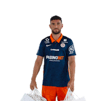 Store Ferri Sticker by MHSC