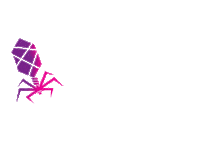 Yellow Fever New Post Sticker by BYU MMBio