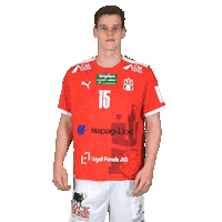 Sport Handball Sticker by HamburgHandball