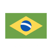 diveiscool flag brasil brazil bandera Sticker