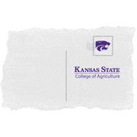 ksuAg agriculture k-state coa kansas state university Sticker