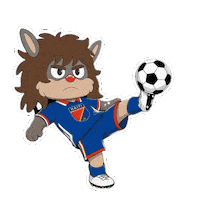 World Cup Football Sticker