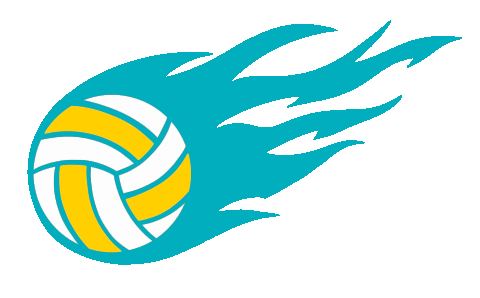 Sport Volleyball Sticker by TuiFR