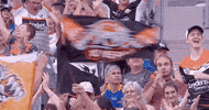 fan GIF by Wests Tigers