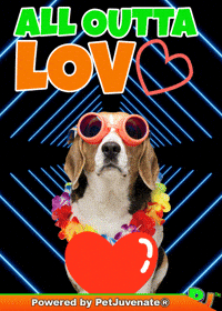 Valentines Day Love GIF by PetJuvenate - PJ