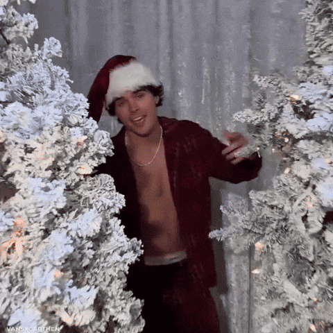 Nic Hot Santa GIF