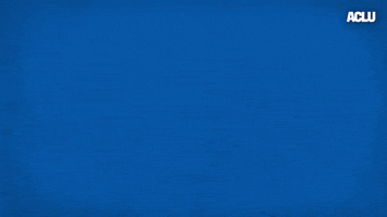 Voting Election 2020 GIF by ACLU