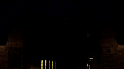 college uf GIF by University of Florida