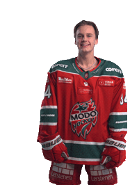 Sticker by MoDo Hockey
