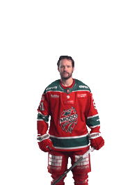 Ice Hockey Hockeyallsvenskan Sticker by MoDo Hockey