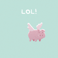 Flying Pig Lol GIF by PositivelyPigasus